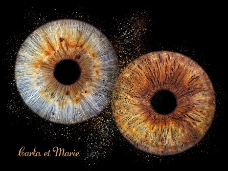 Iris de Zoë