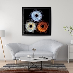 Collection d'iris famille