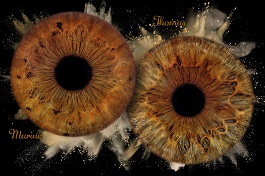 Exemple de création iris IRIS by Trinley