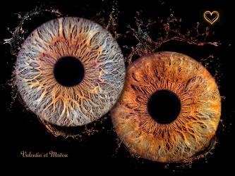 Effet Eau 