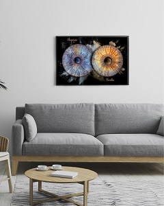 Collection d'iris couple dans 1 salon contemporain