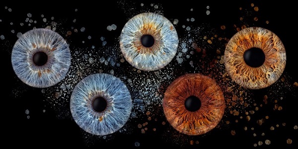 Iris de famille