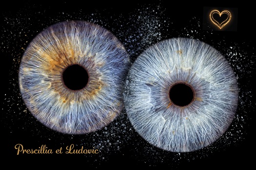 Création exclusive iris